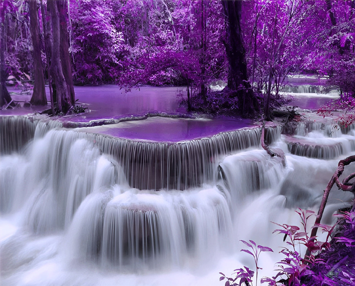 Trees and Falls Diamond Painting