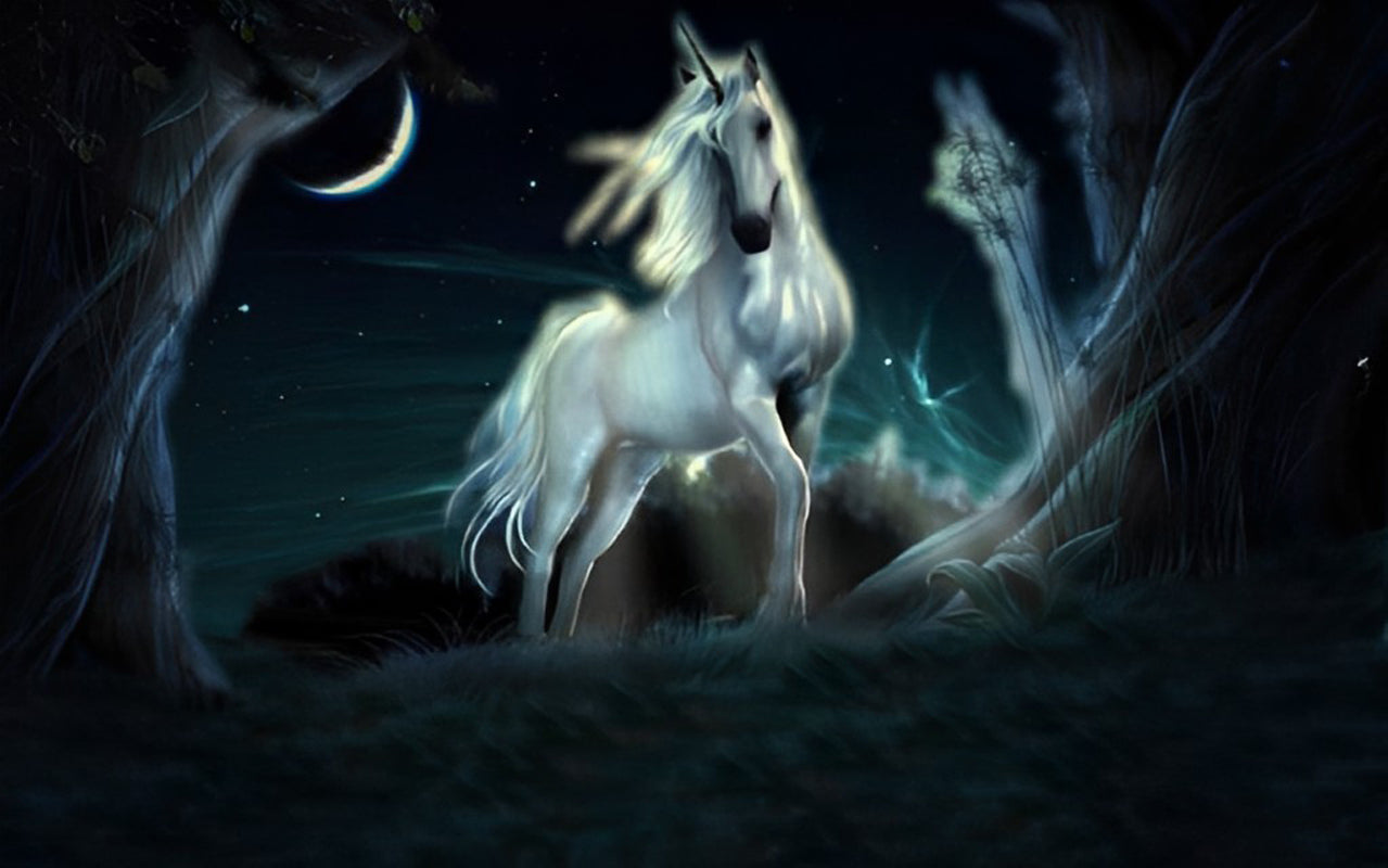 White Unicorn in the Night Diamond Painting