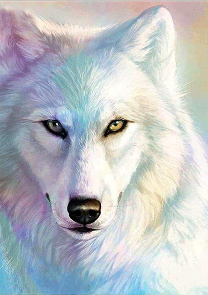 White Wolf in Gorgeous Colors Diamond Painting