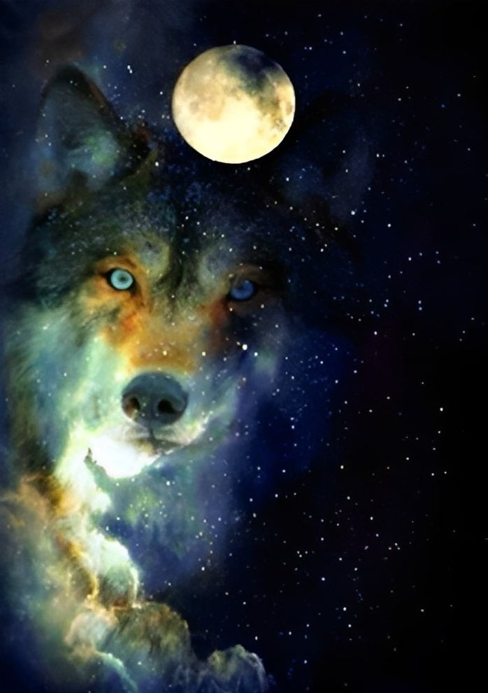 Wolf and Starry Sky Diamond Painting