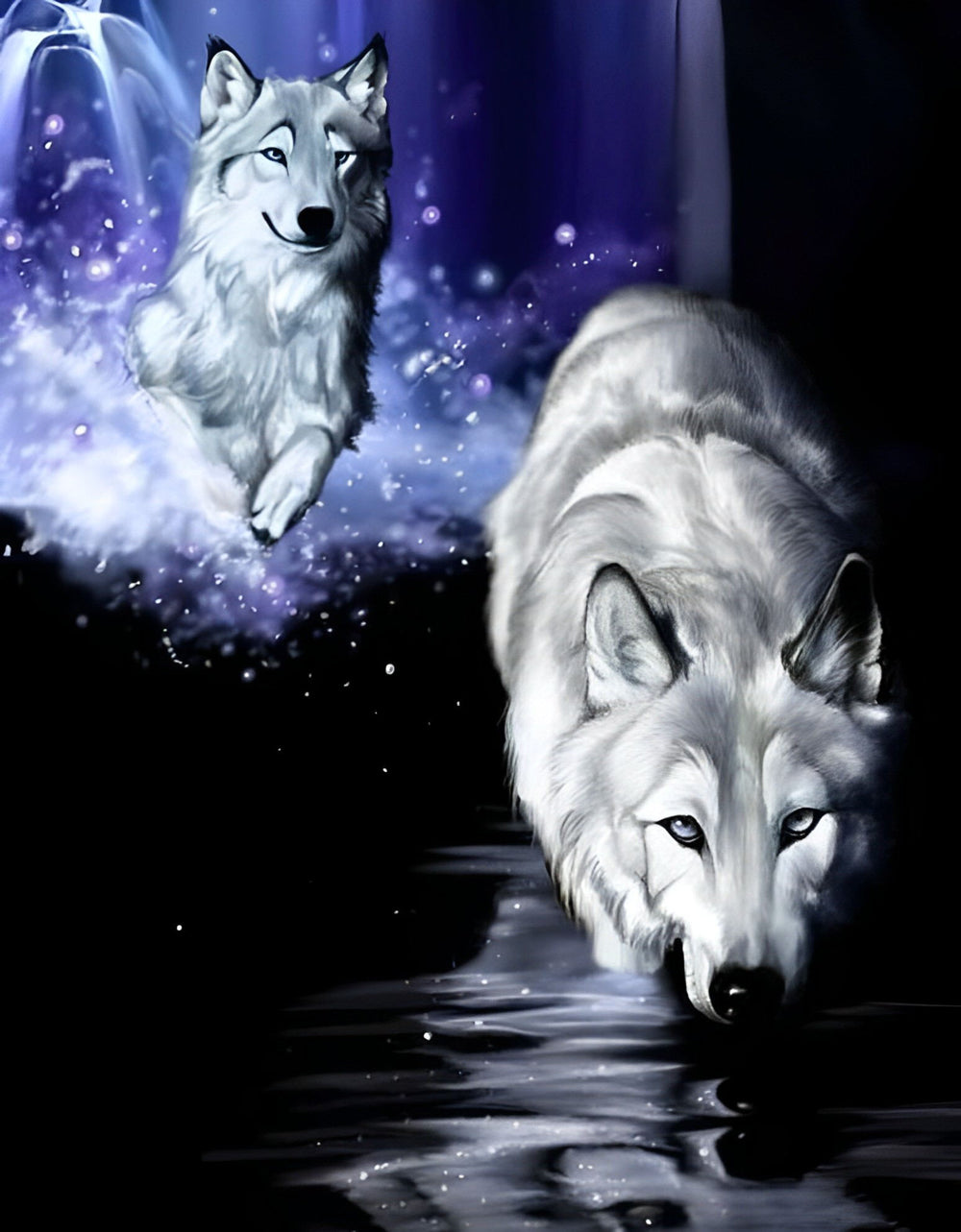 Two Gray Wolves Playing Water Diamond Painting