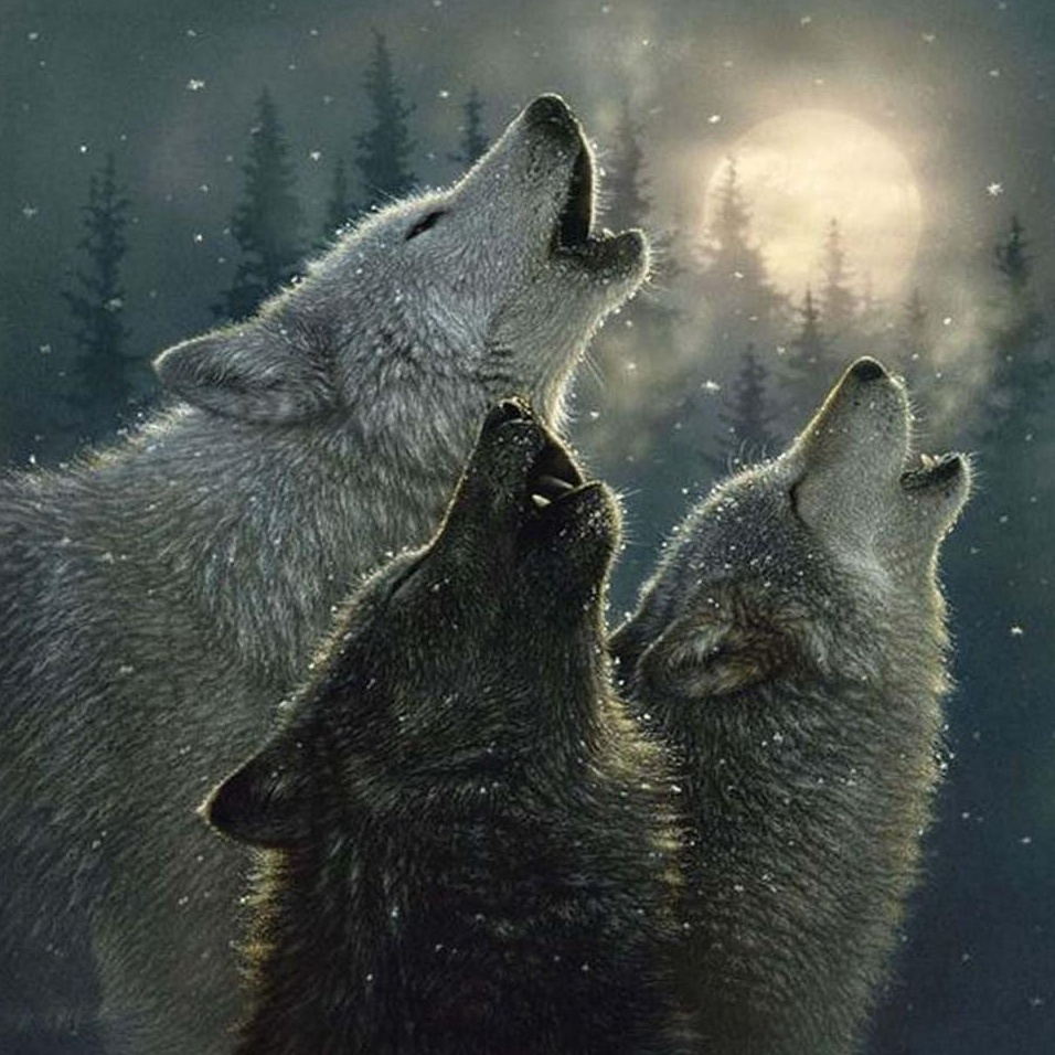 Three Howling Wolves Diamond Painting