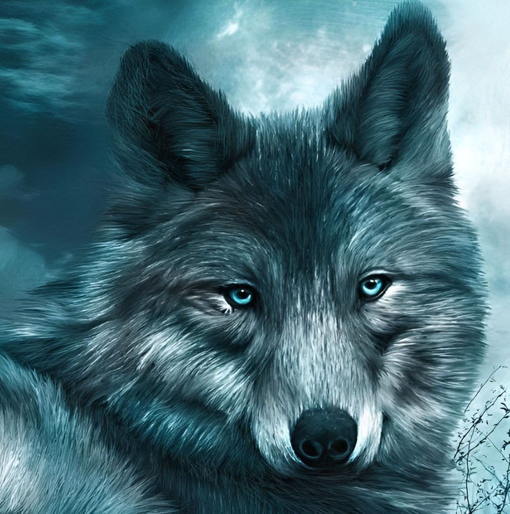 Blue-Eyed Gray Wolf Diamond Painting