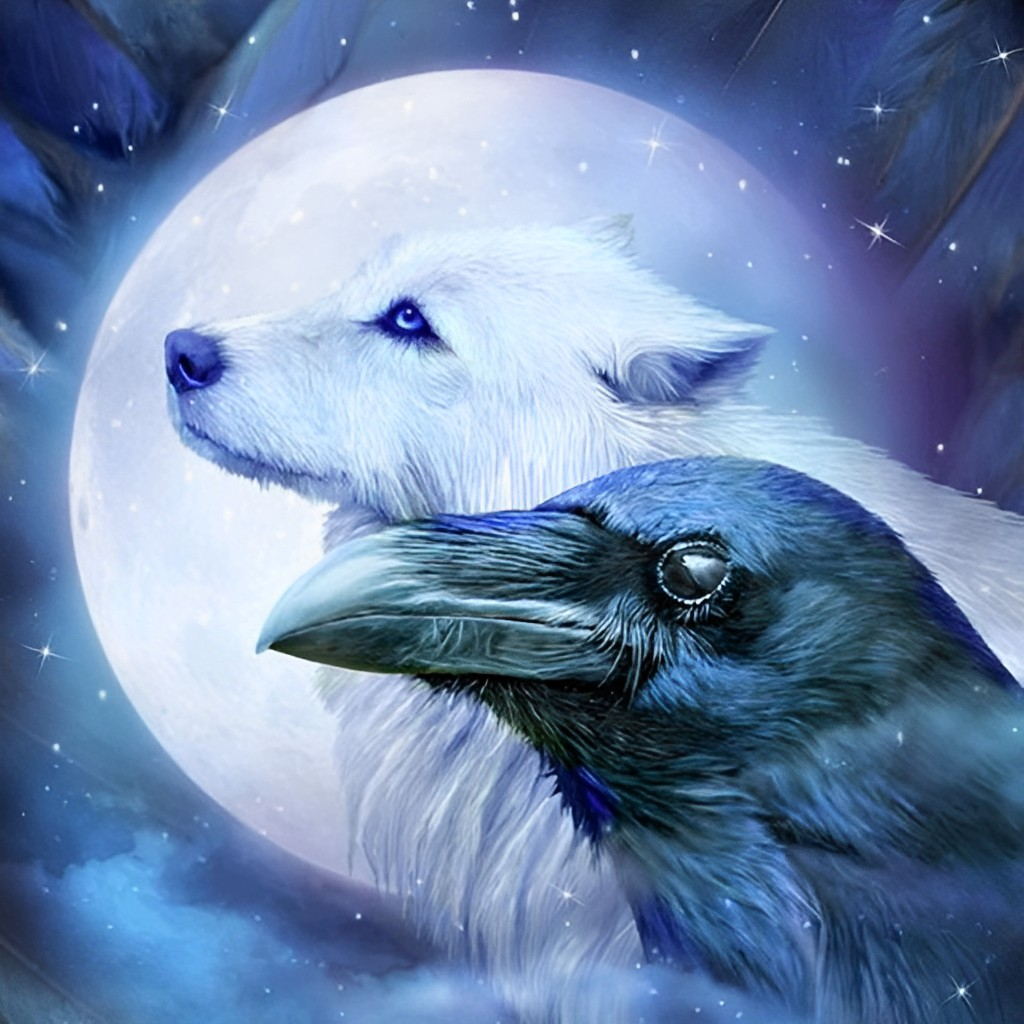 White Wolf and the Raven Diamond Painting