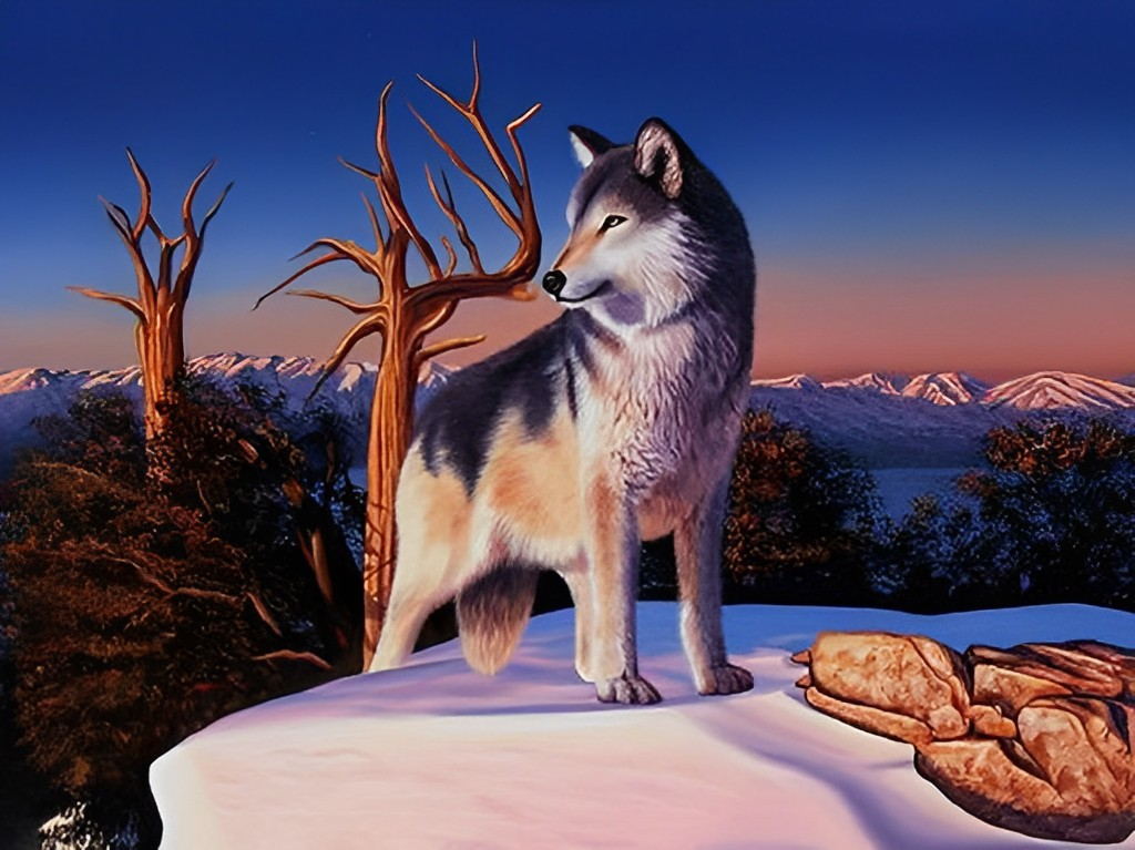Wolf on the Snowy Mountain Diamond Painting