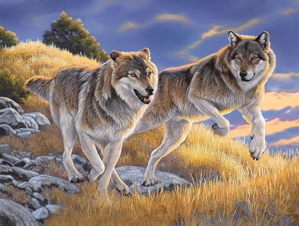 Two Wolves in the Wasteland Diamond Painting