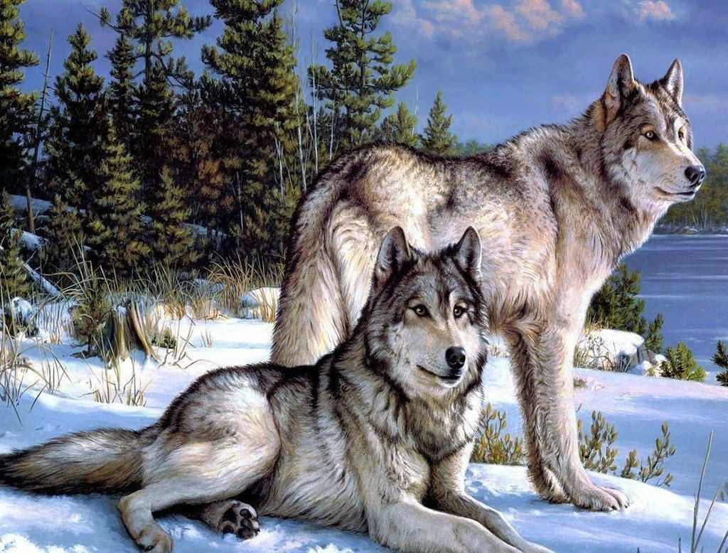 Two Wolves in the Snow Animal Diamond Painting