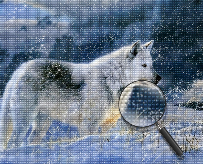 White and Black Wolf in the Snow Diamond Painting
