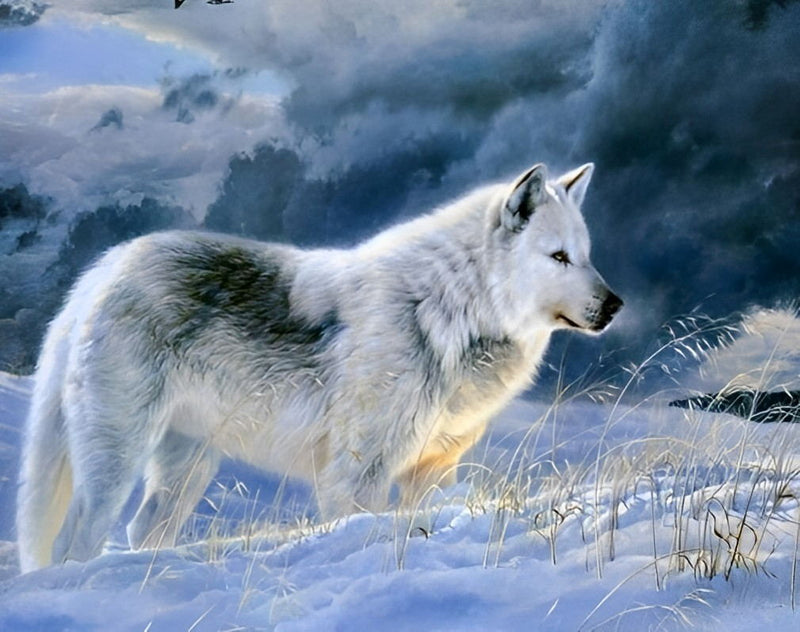 White and Black Wolf in the Snow Diamond Painting