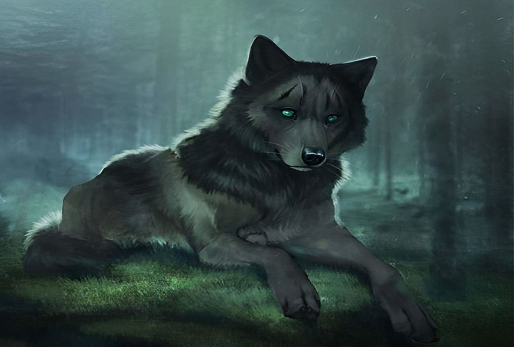 Black Wolf with Green Eyes Diamond Painting