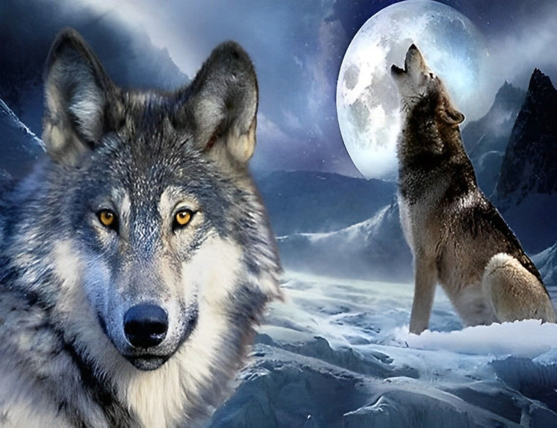 Wolf Looking into the Lens and Howling Wolf Diamond Painting