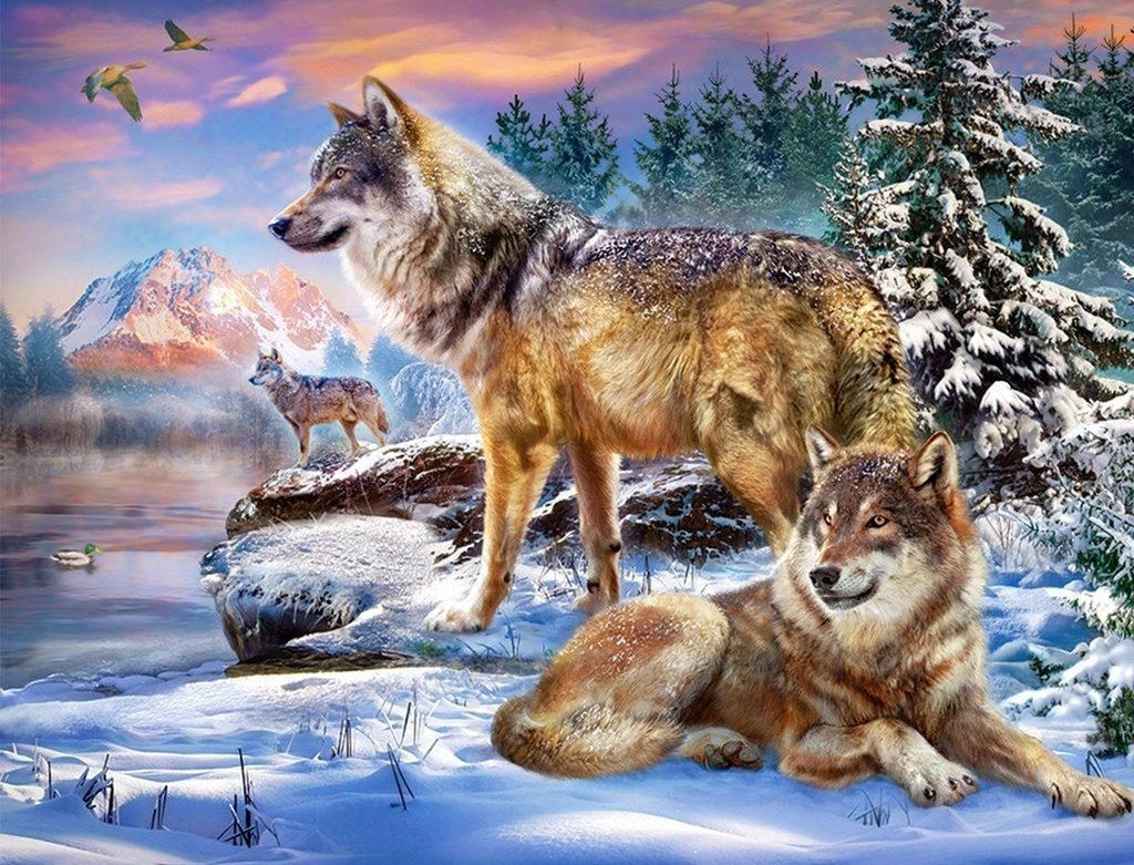 Three Wolves in the Snow Diamond Painting