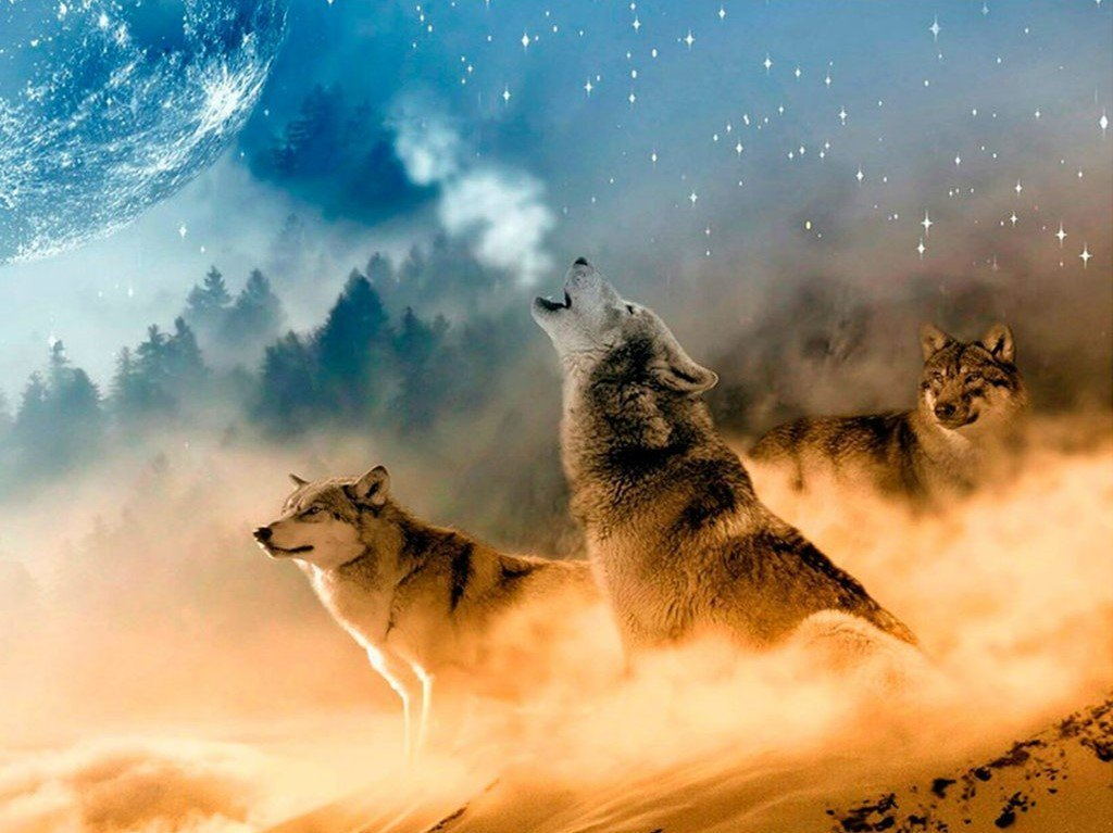 Howling Wolves and Magnificent Clouds Diamond Painting