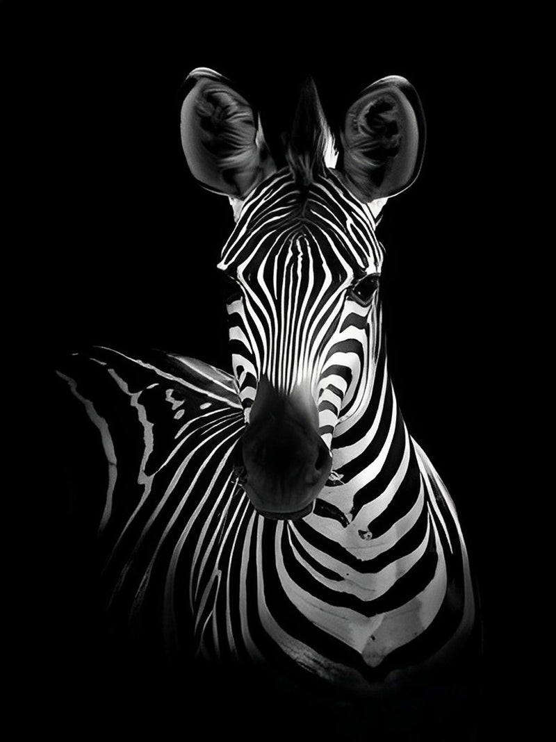 Zebra Black and White Diamond Painting