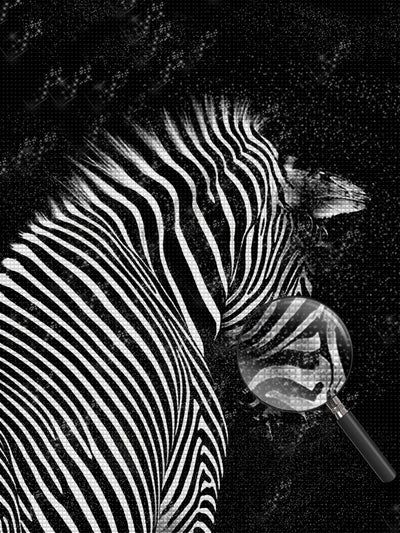 Zebra Diamond Painting