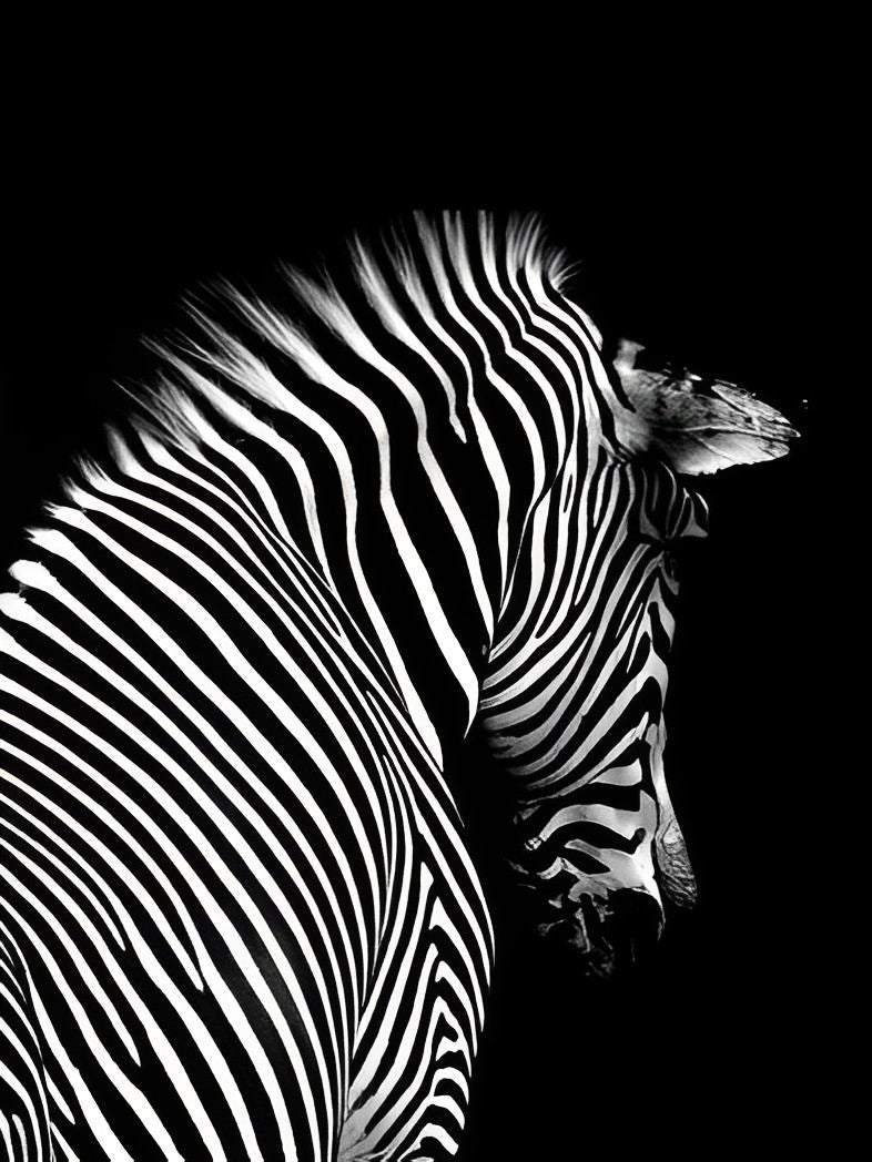 Zebra Diamond Painting