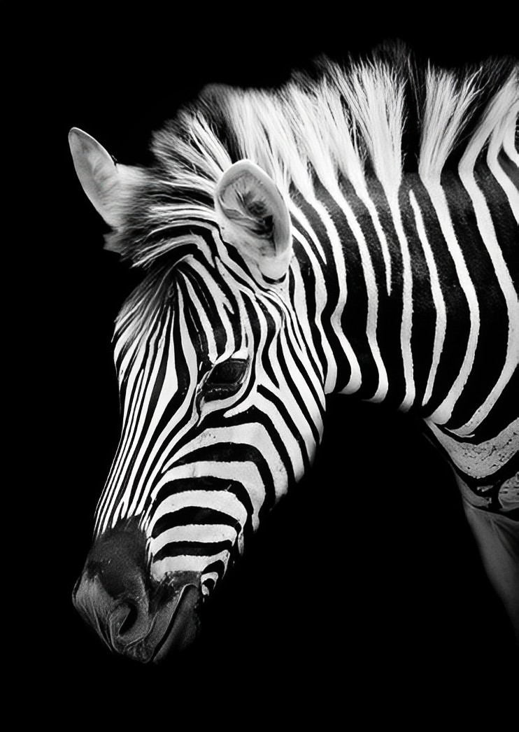 Zebra Diamond Painting