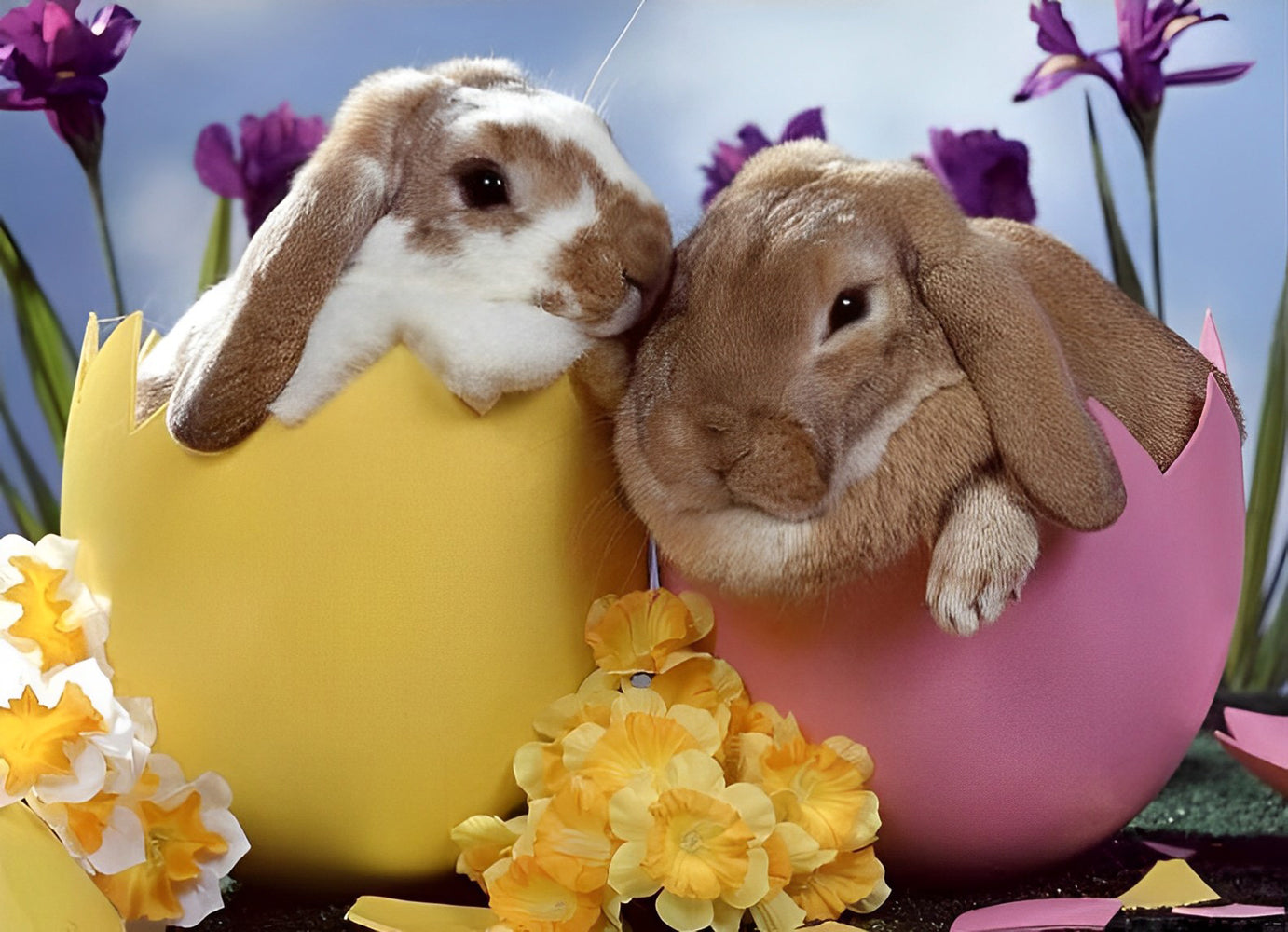 Two Rabbits in Easter Eggs Diamond Painting