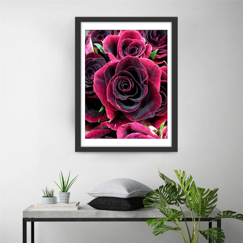 Dark Pink Roses 5D DIY Diamond Painting Kits