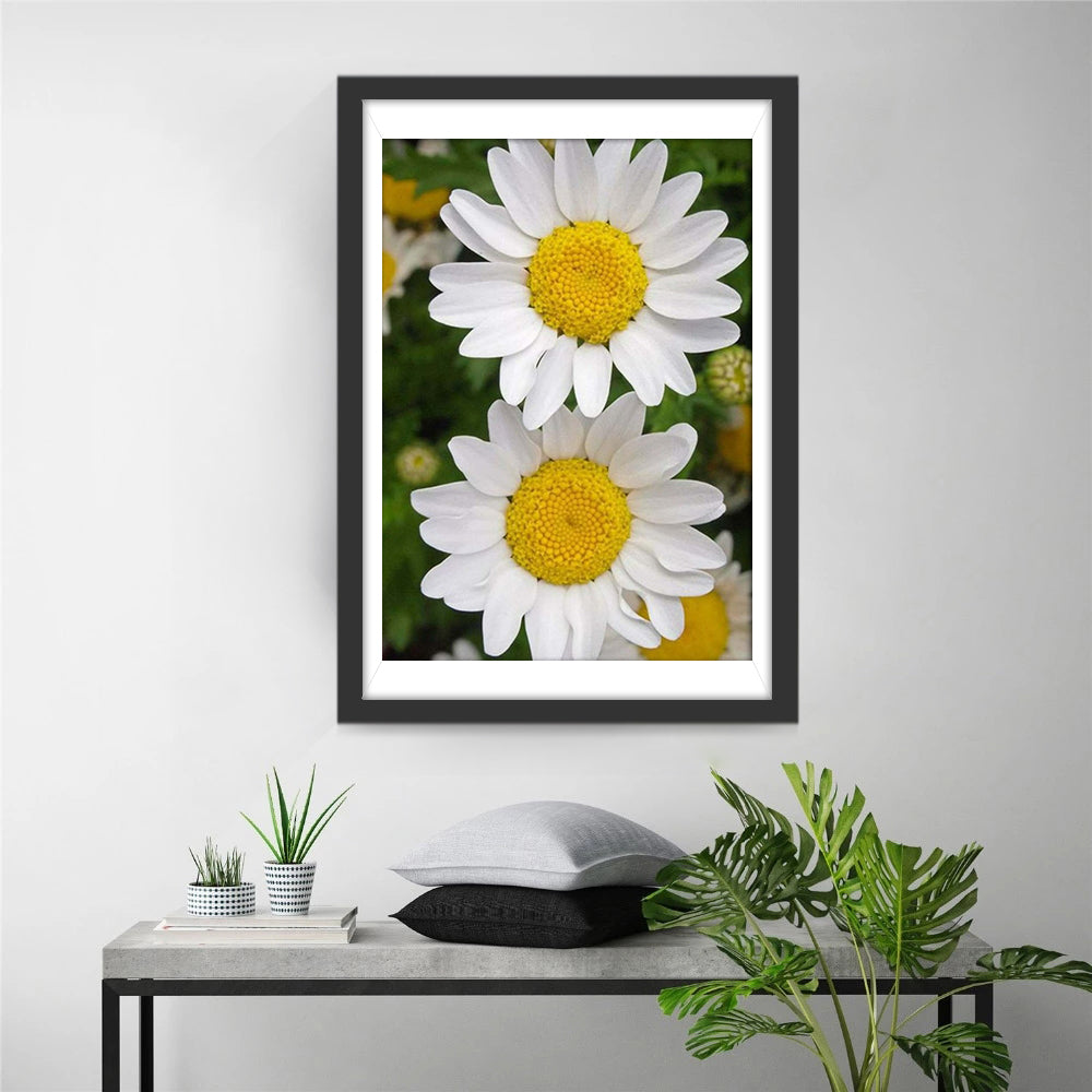 Two Small White Chrysanthemums Diamond Painting