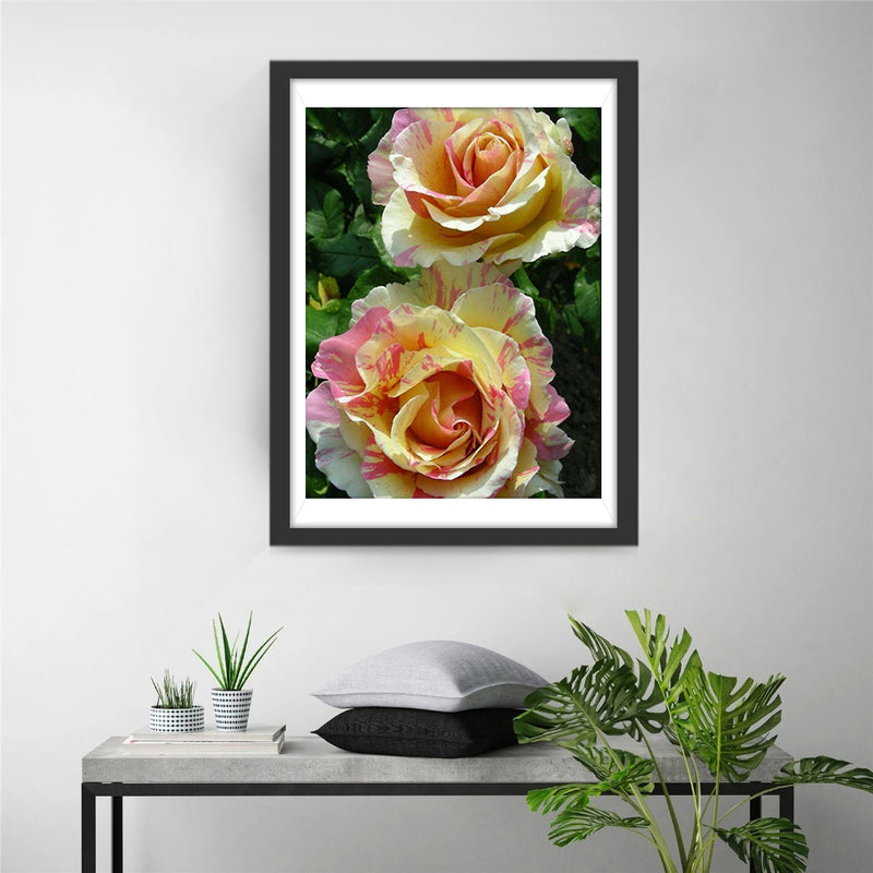 Two Multicolored Roses 5D DIY Diamond Painting Kits