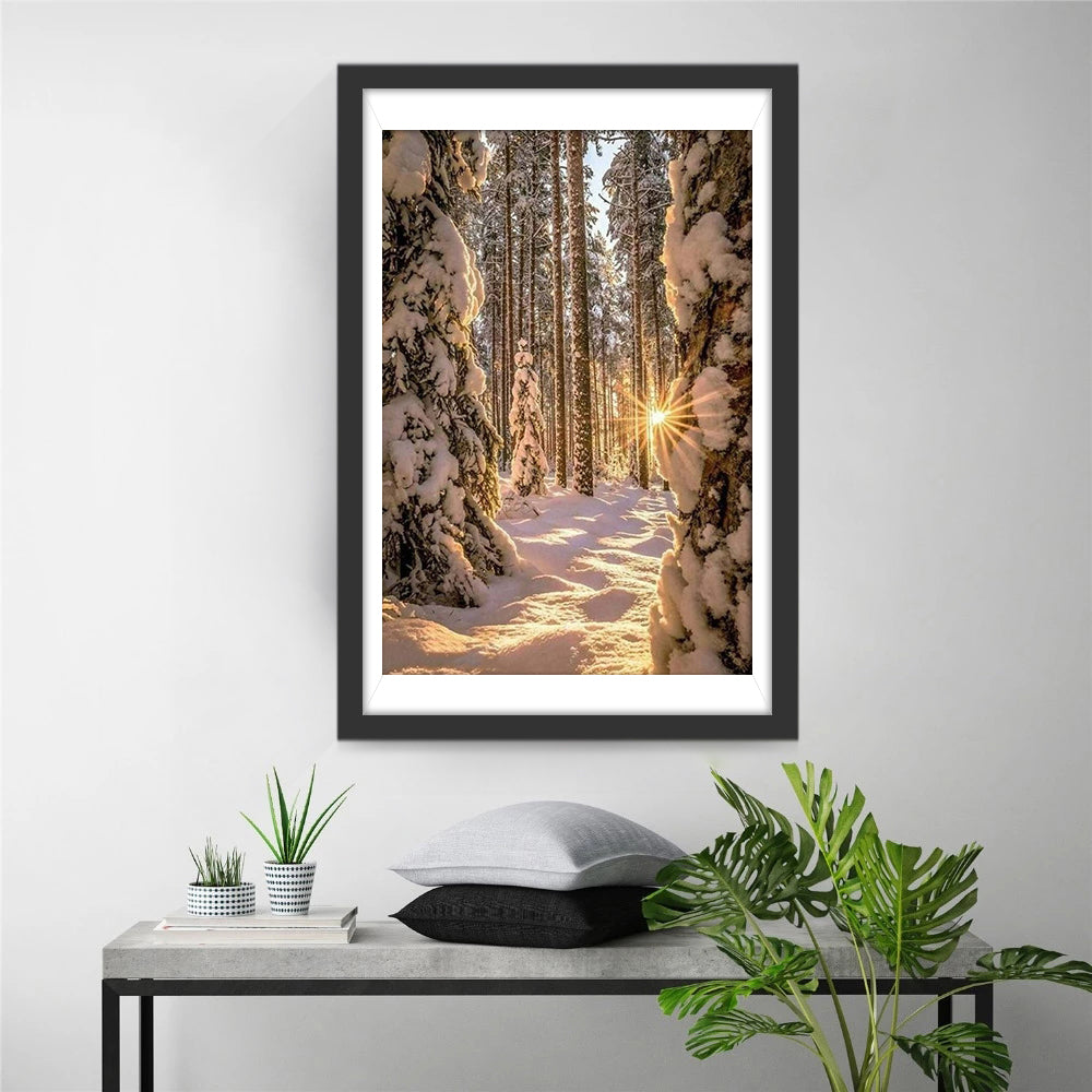 Forest and the Sun Diamond Painting