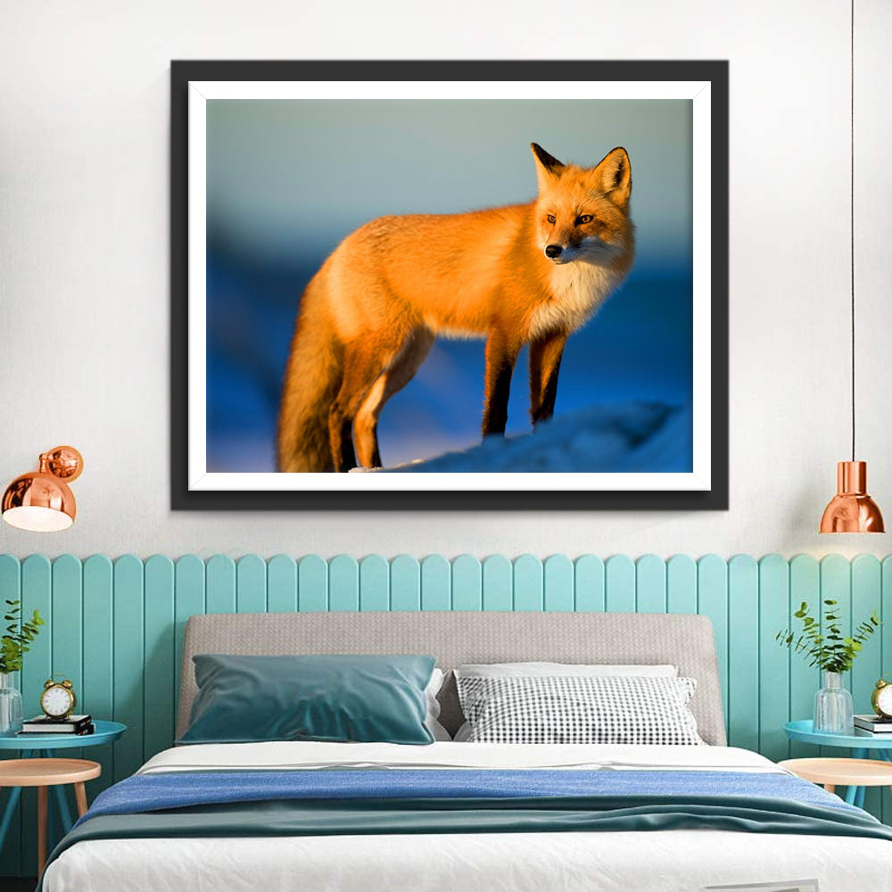 Red Fox under the Sunset Diamond Painting
