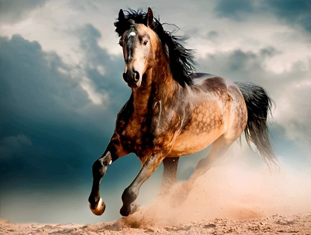 Horse Running on the Sand Diamond Painting