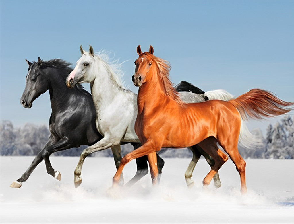 Three Different Horses in the Snow Diamond Painting