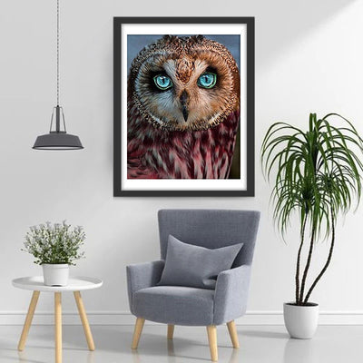 Blue Eyed Owl Diamond Painting