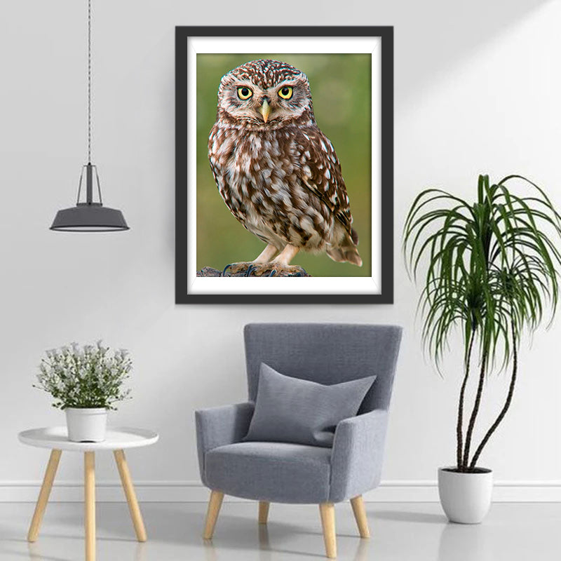 Brown Owl Diamond Painting