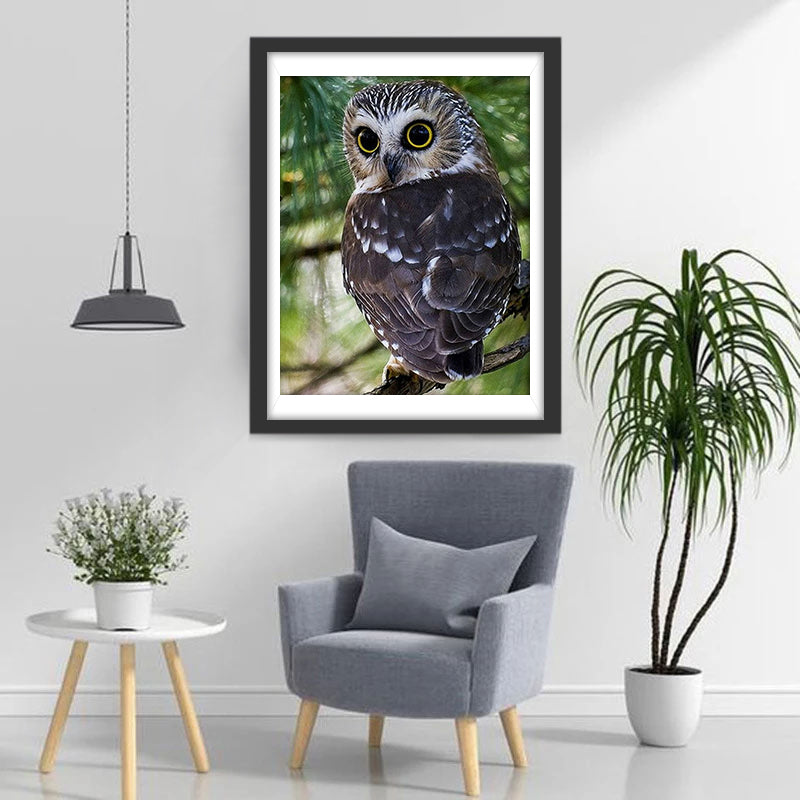 Owl Turning Head Diamond Painting