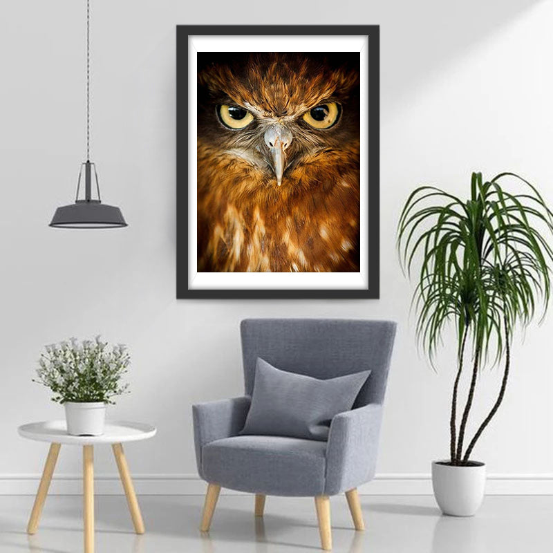 Orange Owl Serious Diamond Painting