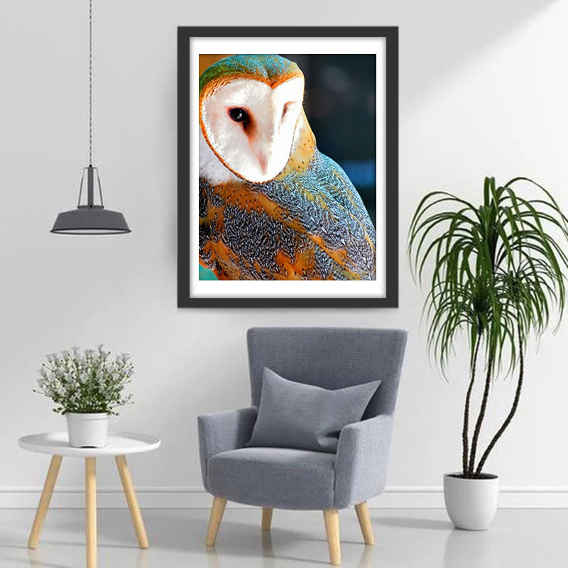 Owl with White Face Diamond Painting