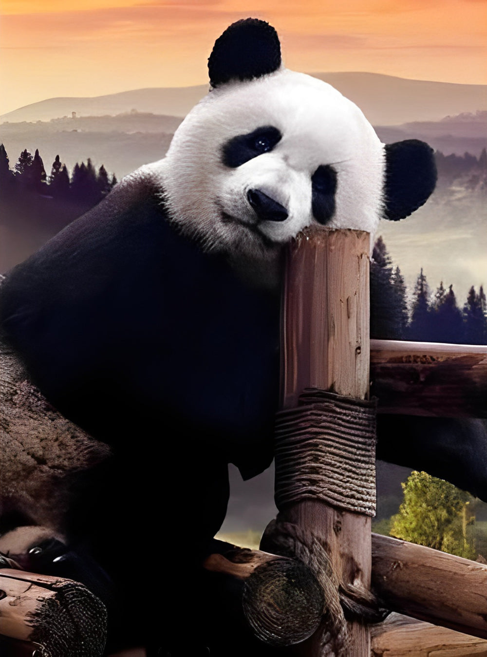 Panda on Wooden Bridge Diamond Painting