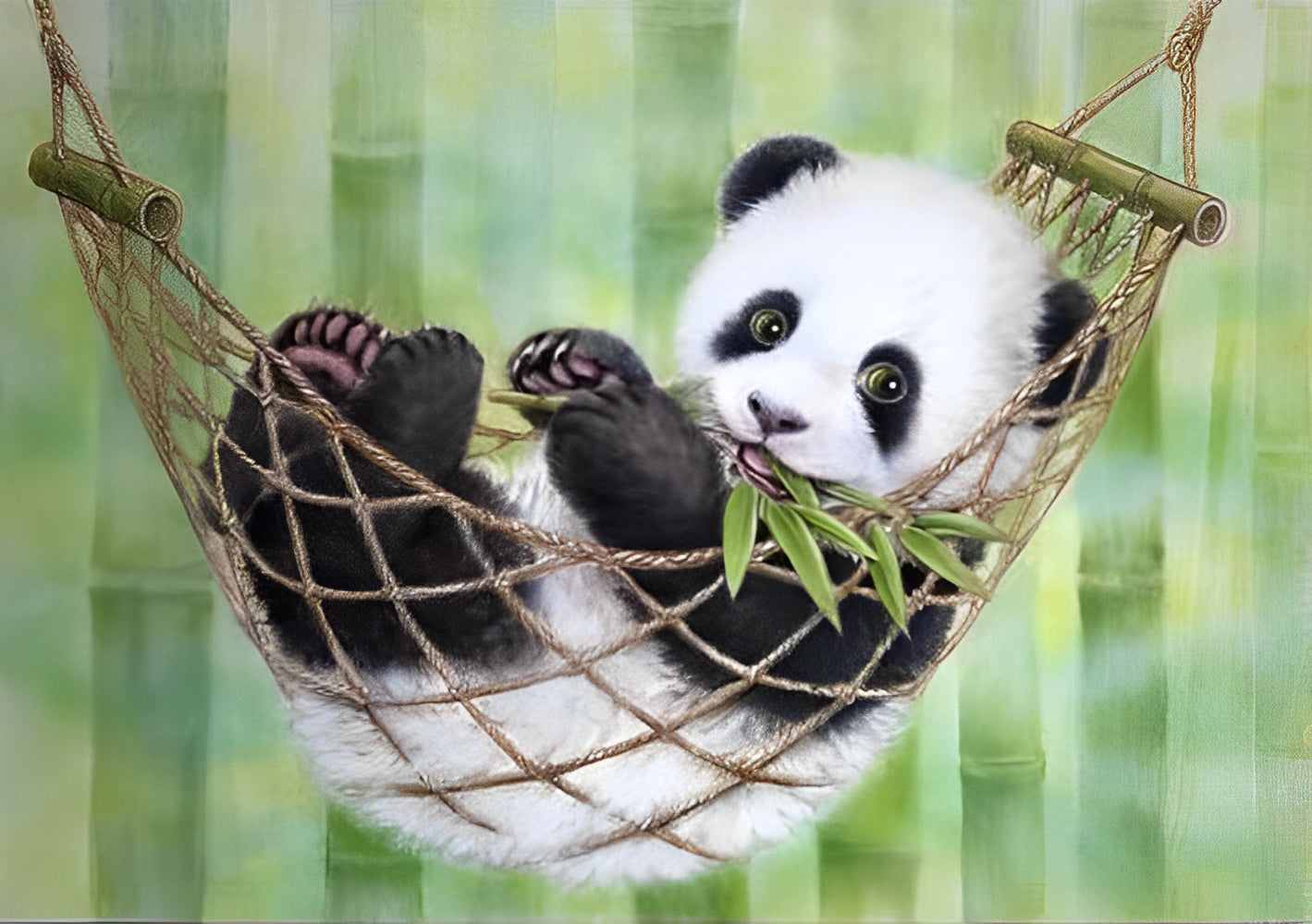 Baby Panda on Hammock Diamond Painting