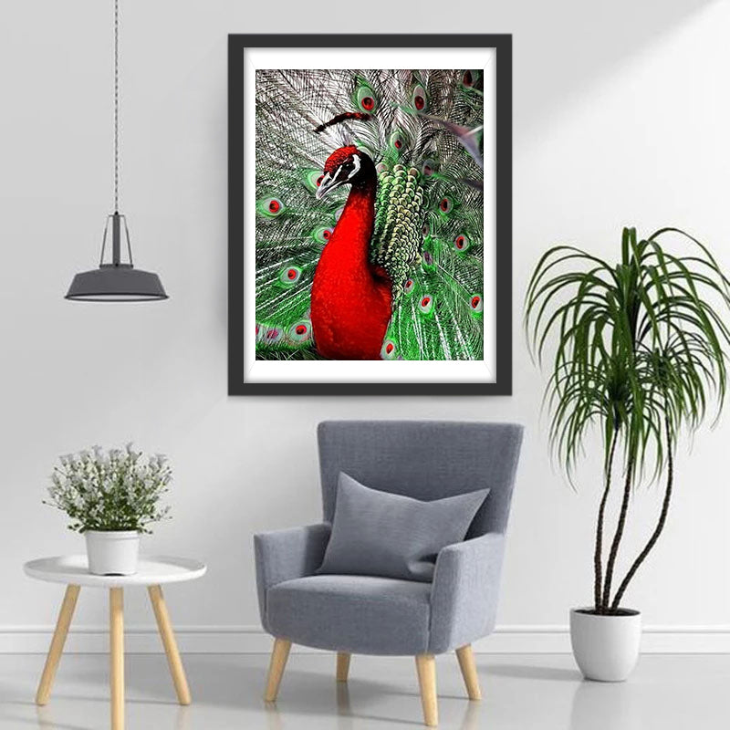 Red Peacock with Green Tail Diamond Painting