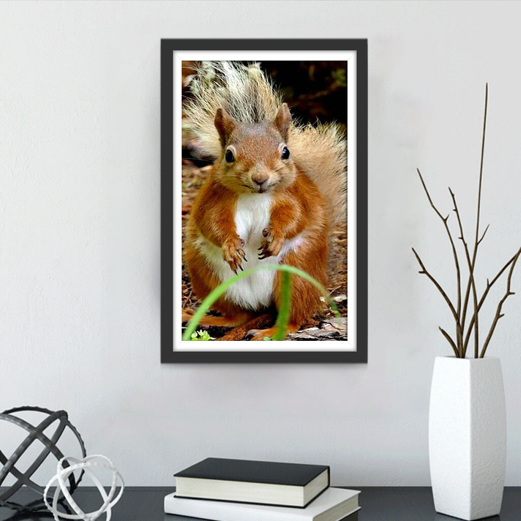 Cute Red Squirrel Diamond Painting