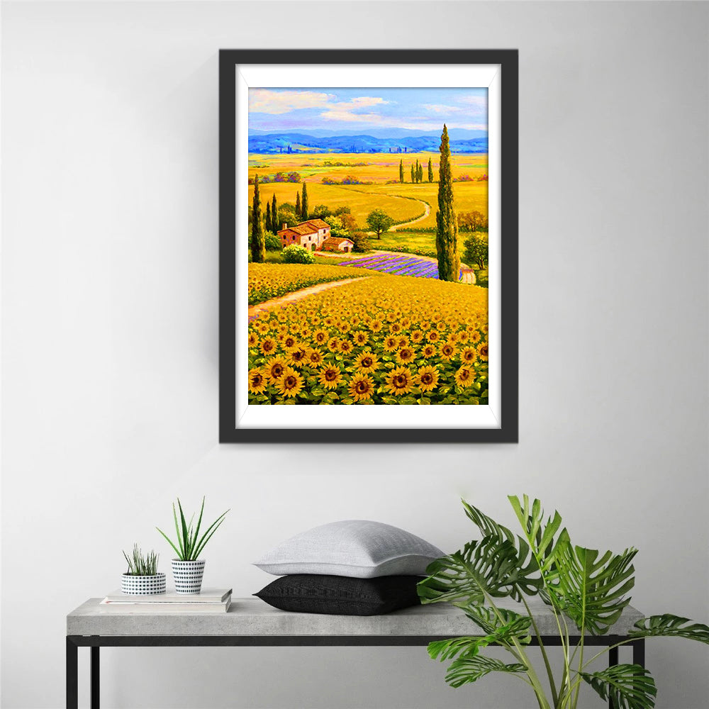 Sunflower Fields Diamond Painting