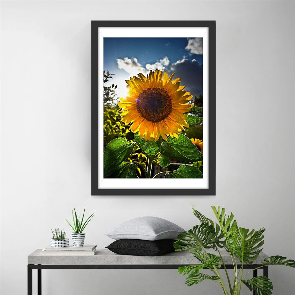 Sunflower Backlight Diamond Painting
